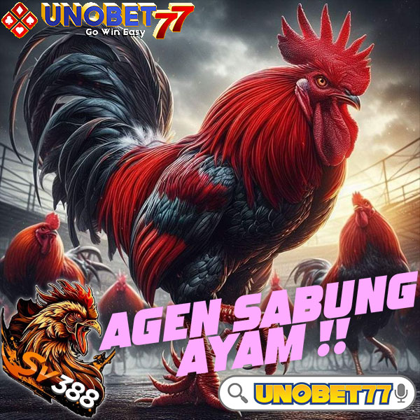 Sabung Ayam Online